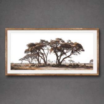 True Wilderness - Wim van den Heever Print