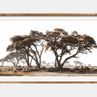 True Wilderness - Wim van den Heever Print 6 tree with frame
