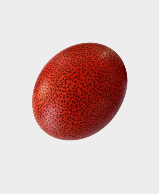 Detailed painted burgundy Ostrich Egg with black leopard pattern - Image 3