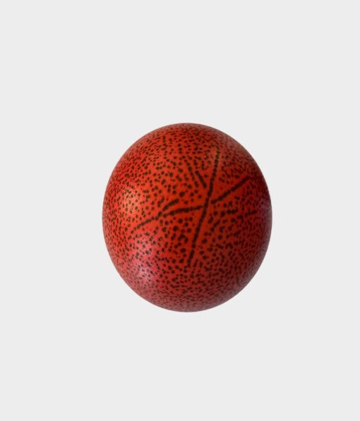 Detailed painted burgundy Ostrich Egg with black leopard pattern - Image 2