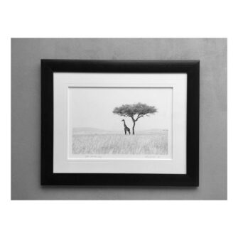 Richard du Toit - Giraffe, Masai Mara, Kenia - Leinwand Groß 3 RdT 190 Frame