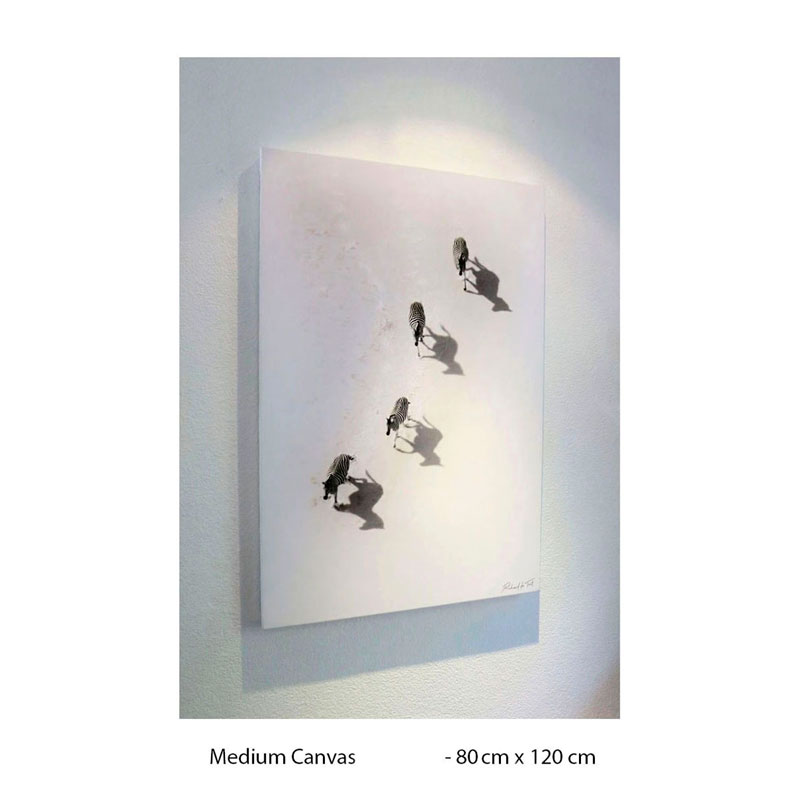 Richard du Toit - Zebra, Makgadikgadi, Botswana - Leinwand Groß 3 Richard du Toit - Zebra, Makgadikgadi, Botswana - Leinwand Groß – Bild 3