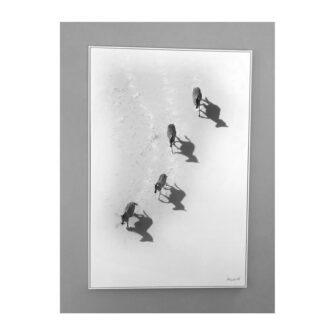 Richard du Toit - Zebra, Makgadikgadi, Botswana - Leinwand Groß 4 RdT 55 Canvas