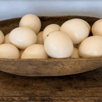 Schlichtes cremefarbenes Straußenei 7 34241FCE B5BA 4EE6 9458 240AE2EA97AE