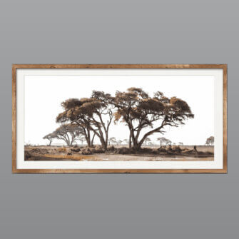 Kunstfotografie „True Wilderness“ – Wim van den Heever Print