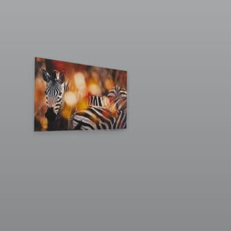 Richard du Toit – Zebras, Kruger Park, Südafrika – Leinwand Medium 3 Richard du Toit – Zebras, Kruger Park, Südafrika – Leinwand Medium – Bild 2