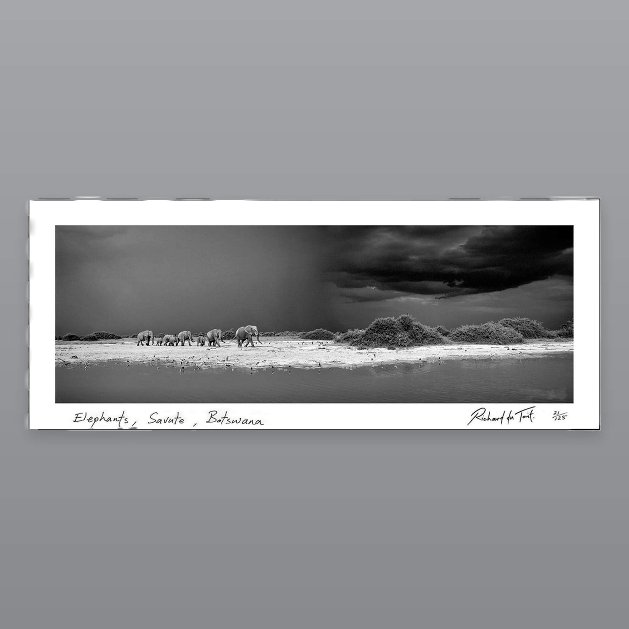 Richard du Toit – Elefanten, Savute, Botswana – Papierdruck 1 Richard du Toit – Elefanten, Savute, Botswana – Papierdruck